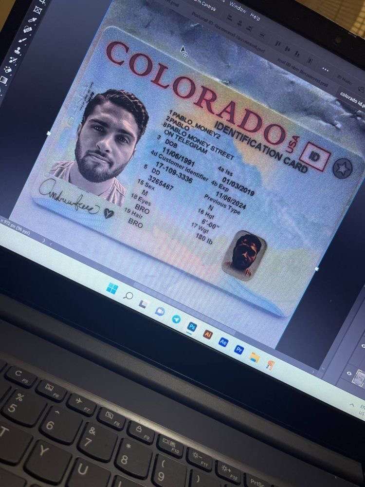 Colorado drivers license for sale