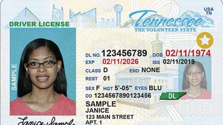 Tennessee drivers license for sale