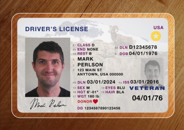 Buy American Driver's License online