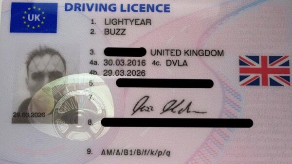 UK driving license online