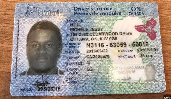 Canadian driving license for sale - Image 5