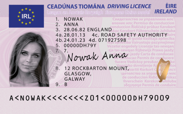 Irish driver's license