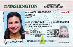 Drivers License For Sale