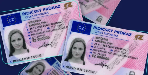 Czech Republic driver's license for sale