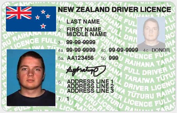 Norway driving license online