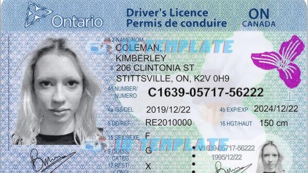 Canadian driving license for sale