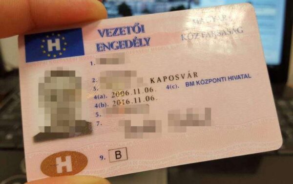 Hungarian driver's license online