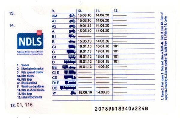 Irish driver's license