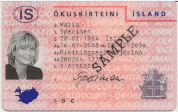 Icelandic driver's license online