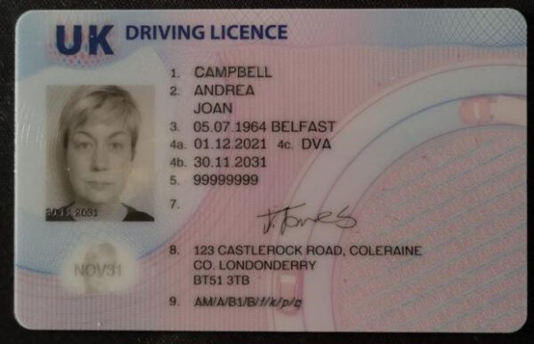 UK driving license online