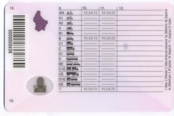 Luxembourg driver's license