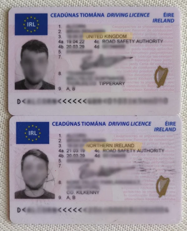 Irish driver's license
