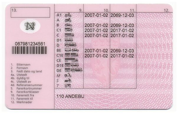 Norway driving license online