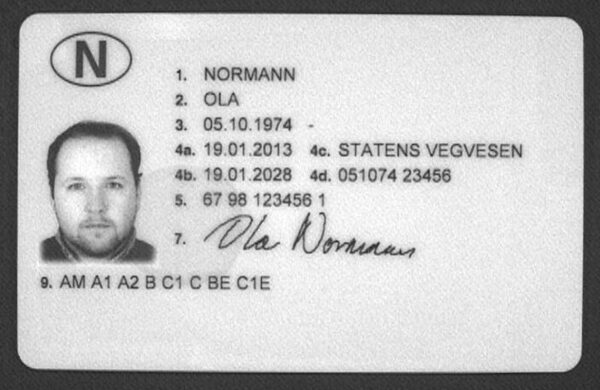 Norway driving license online