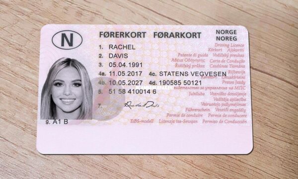 Norway driving license online