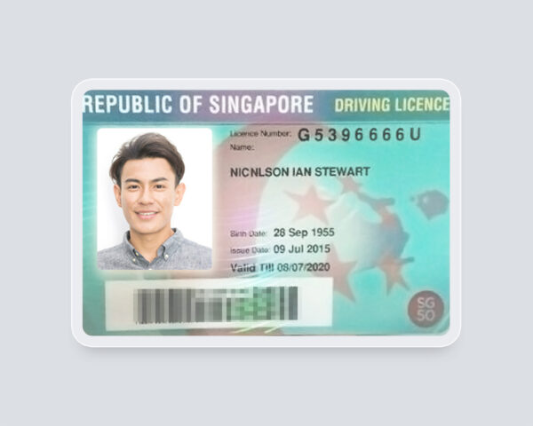 Singapore driving license online