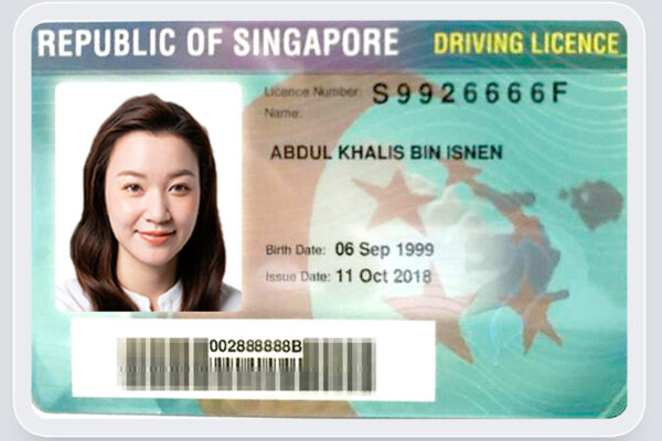 Singapore driving license online