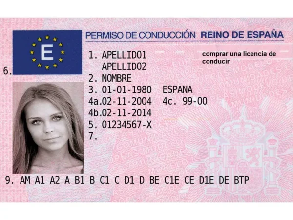 Spanish driving license online